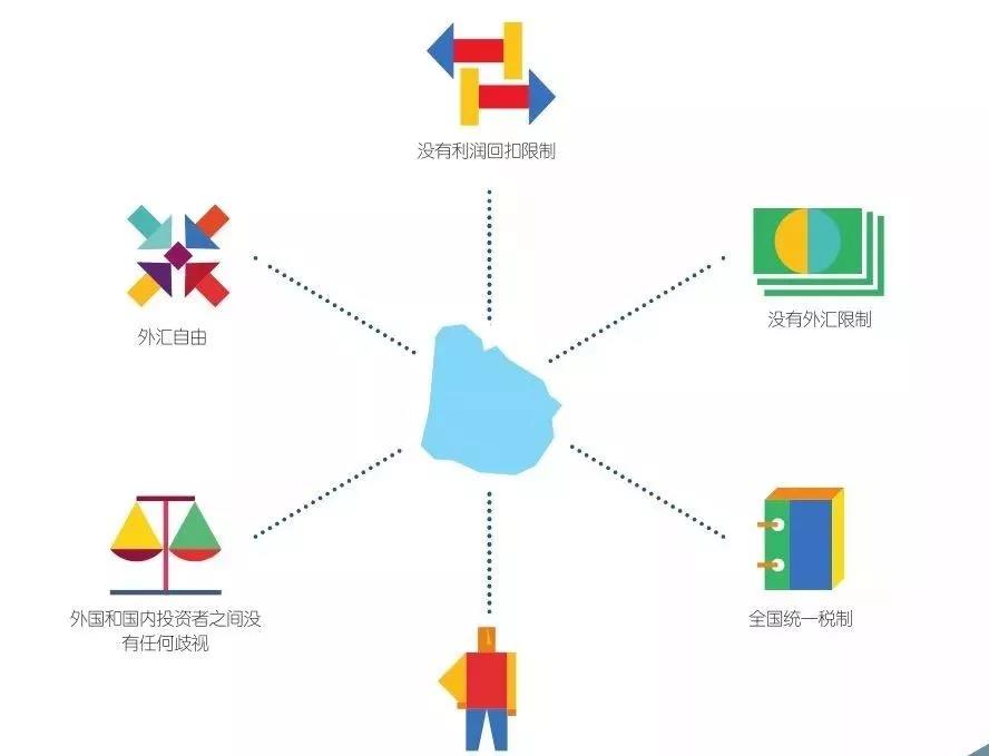 1548315109214342.jpg 12.jpg