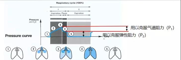1583803112968517.jpg 微信圖片_20200310092218.jpg
